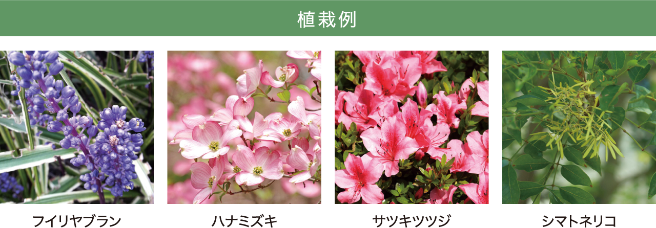 植栽例